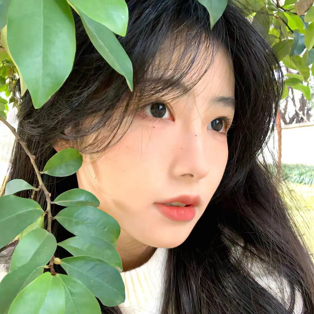 超完美男孩