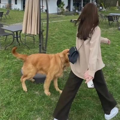 终极斗士